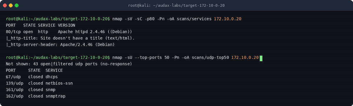 Στιγμιότυπο τερματικού: Service detection & UDP top-50