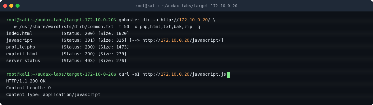Στιγμιότυπο τερματικού: Gobuster — directory enumeration