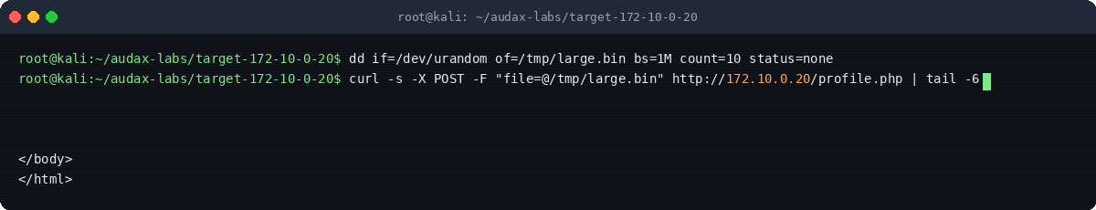 Στιγμιότυπο τερματικού: Large payload (10 MB) — marker απουσιάζει