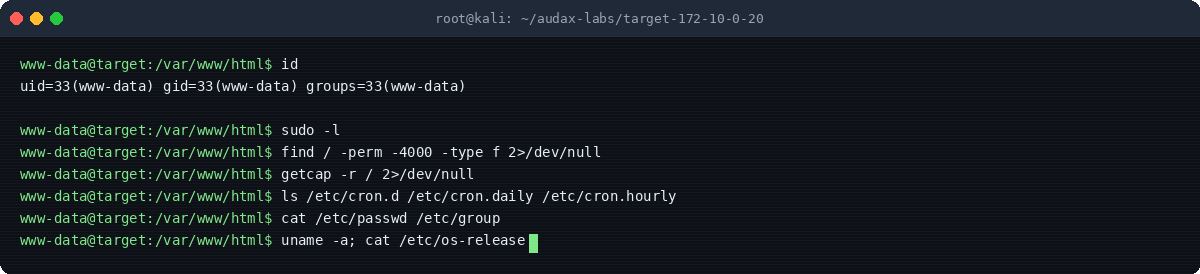 Στιγμιότυπο τερματικού: Post-exploitation — Linux enumeration template
