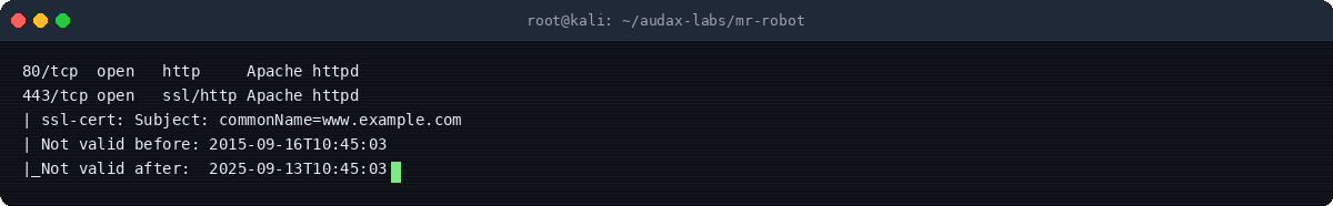 Στιγμιότυπο τερματικού: nmap service detection — αποτελέσματα