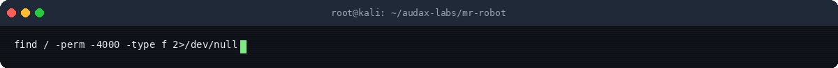 Στιγμιότυπο τερματικού: SUID binary enumeration