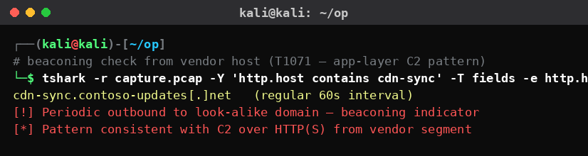 Kali Linux ανάλυση κίνησης που εντοπίζει περιοδικό beaconing προς lookalike domain από το vendor segment logistics.