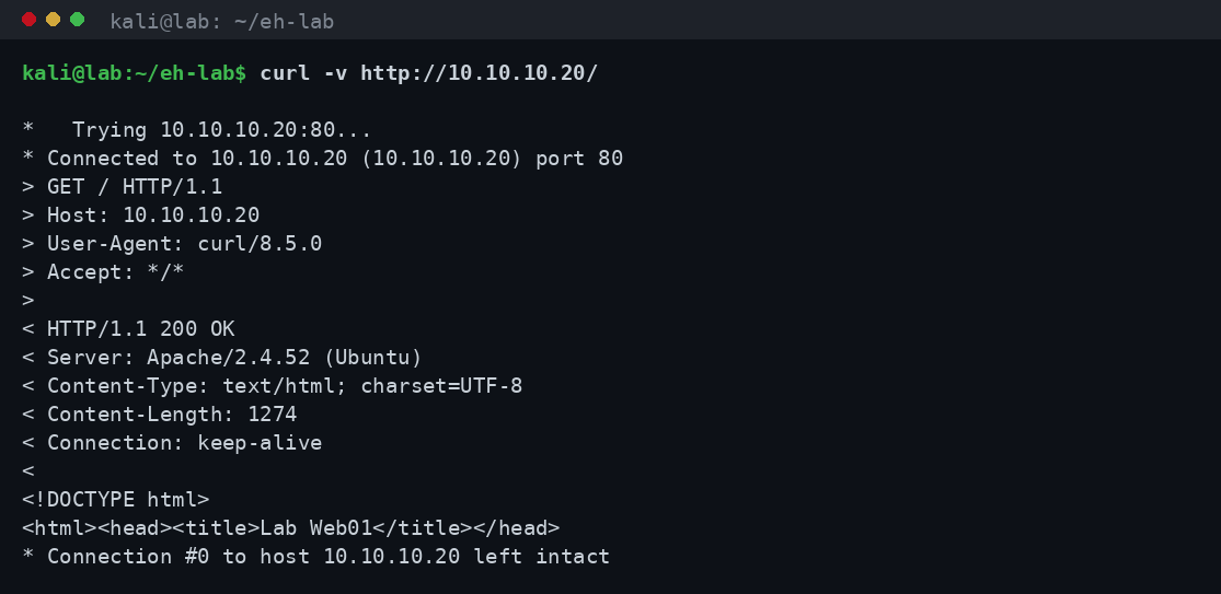 Έξοδος curl -v που δείχνει το HTTP request με GET και τα response headers από τον server του lab