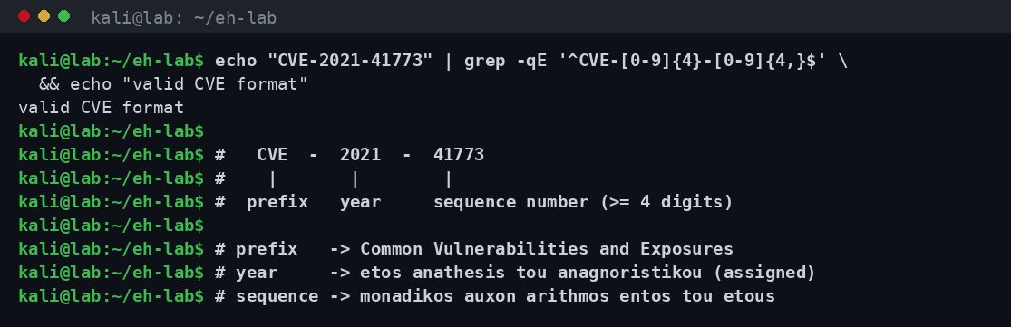 Terminal που επικυρώνει τη μορφή του CVE-2021-41773 με grep και εξηγεί σε σχόλια το πρόθεμα CVE, το έτος 2021 και τον αύξοντα αριθμό 41773