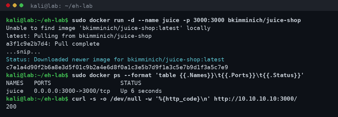Εκκίνηση του container OWASP Juice Shop με docker και επιβεβαίωση ότι η εφαρμογή απαντά με HTTP 200 στο απομονωμένο lab