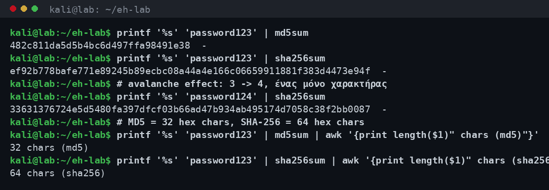 Υπολογισμός MD5 και SHA-256 hash με md5sum και sha256sum και επίδειξη του avalanche effect σε απομονωμένο εργαστήριο