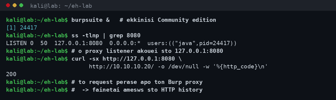 Terminal στο Kali: εκκίνηση του Burp Suite, έλεγχος με ss ότι ο proxy listener ακούει στο 127.0.0.1:8080 και δοκιμαστικό curl μέσα από τον proxy