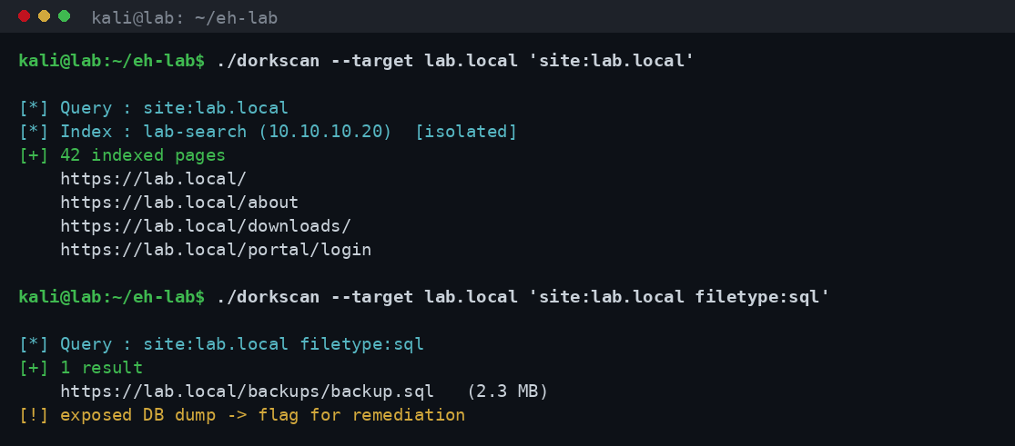 Terminal του lab με εκτέλεση dork queries site: και filetype: σε απομονωμένο στόχο lab.local