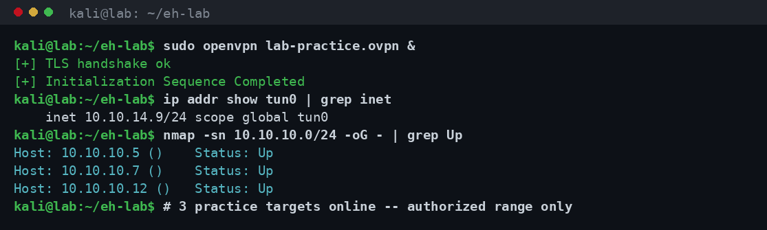 Σύνδεση VPN σε νόμιμο practice range και ανακάλυψη ευάλωτων μηχανών στόχων με nmap σε απομονωμένο δίκτυο