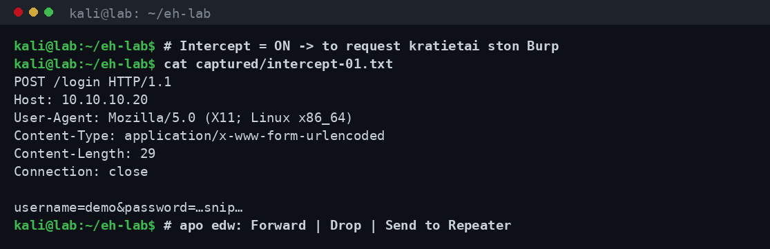 Ακατέργαστο HTTP POST request που κρατήθηκε από το Intercept του Burp, με headers και το σώμα της φόρμας σύνδεσης όπου το password είναι sanitised