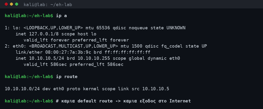 Έξοδος της εντολής ip a μέσα στο Kali Linux που δείχνει τη διεύθυνση 10.10.10.5 στο host-only interface eth0