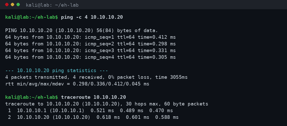 Έξοδος ping με 0% απώλεια πακέτων προς 10.10.10.20 και traceroute που δείχνει δύο hops μέσω του gateway