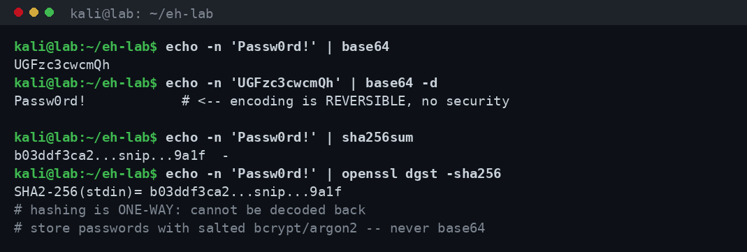 Σύγκριση αναστρέψιμου Base64 encoding και μονόδρομου SHA-256 hashing στο τερματικό ενός εργαστηρίου