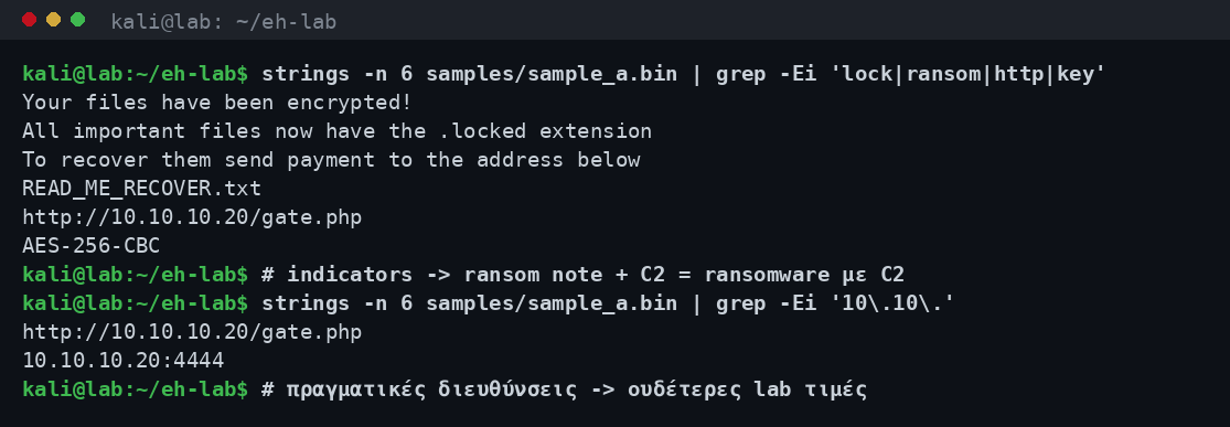 Ανάλυση strings ενός δείγματος στο lab που αποκαλύπτει ενδείξεις κατηγορίας malware όπως ransom note και διεύθυνση C2