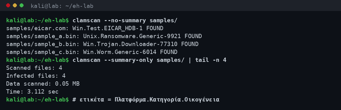 Σάρωση φακέλου δειγμάτων με clamscan στο απομονωμένο εργαστήριο που ταξινομεί τις ανιχνεύσεις σε κατηγορίες malware