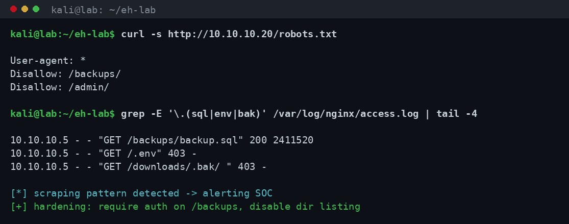 Terminal με αμυντικά μέτρα: robots.txt, ανάλυση access logs και έλεγχος για εκτεθειμένα αρχεία στο εργαστηριακό περιβάλλον