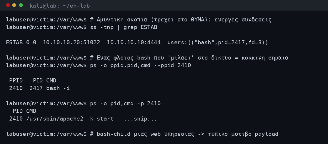 Ανίχνευση reverse shell στο θύμα με ss για ενεργές συνδέσεις και ps για ύποπτο process tree, ως αμυντικά μέτρα στο lab
