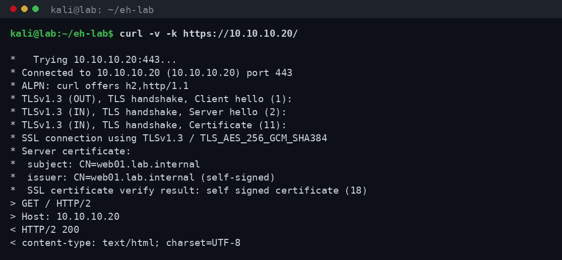 Έξοδος curl -v με το TLS handshake του HTTPS: έκδοση TLS 1.3, cipher και λεπτομέρειες του self-signed certificate στο lab