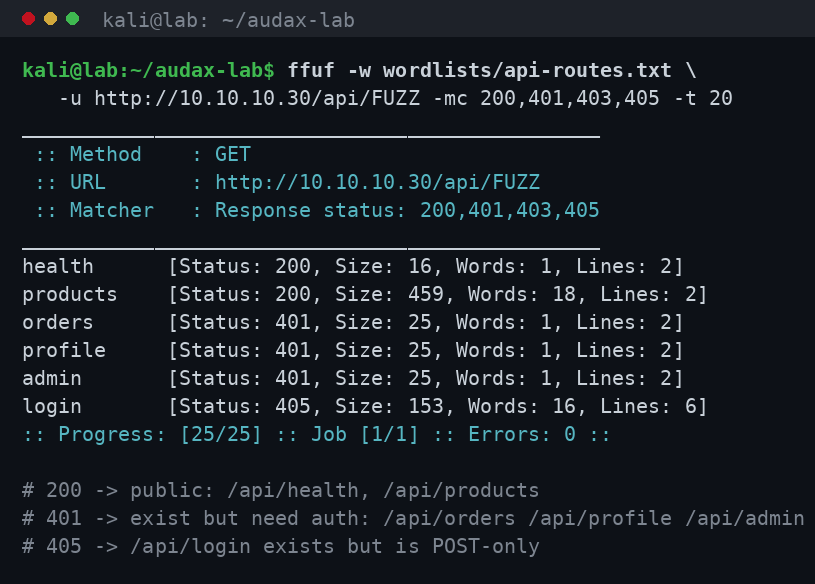 ffuf: ανακάλυψη διαδρομών API