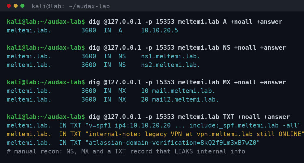 dig: χειροκίνητα ερωτήματα A/NS/MX/TXT και η διαρροή στο TXT