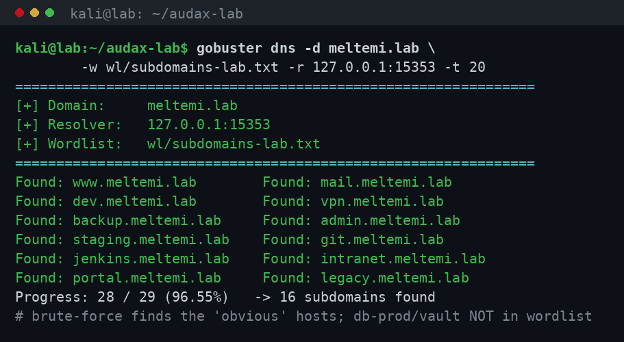 gobuster dns: brute-force των subdomains με στοχευμένο wordlist