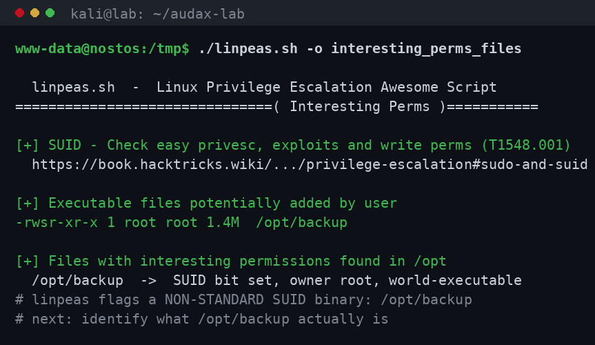 linpeas: εντοπισμός του μη-τυπικού SUID binary /opt/backup